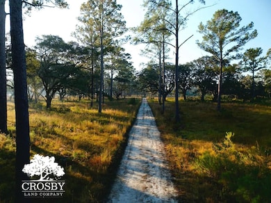 421 Powell Oak Dr, Ridgeland, SC 29936 - photo 2