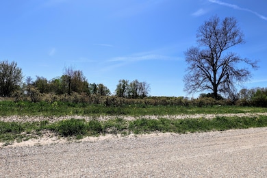 VL Benny Ct (Private) Lot#wp005 unit Lot 5, Grand Junction, MI 49056 - photo 5