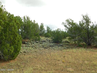 Lot No. 59 Sequoia Pl. Show Low, Az