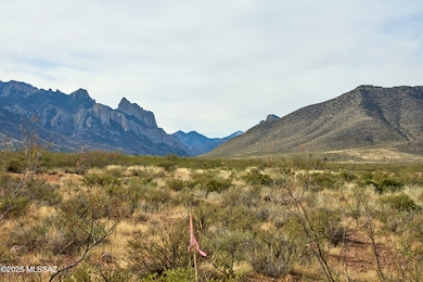 Tbd Foothills Rd unit C, Portal, AZ 85632 - photo 7