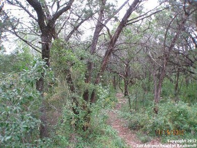 11122 Windy Willows, Helotes, TX 78023 - photo 2