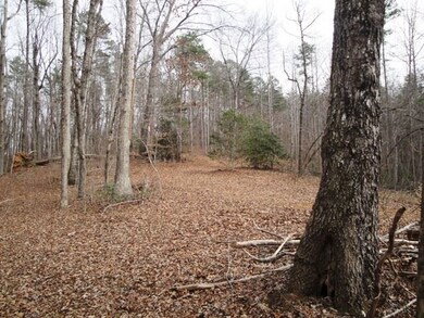 Lot Q-2 the Bear Blvd, Tamassee, SC 29686 - photo 5