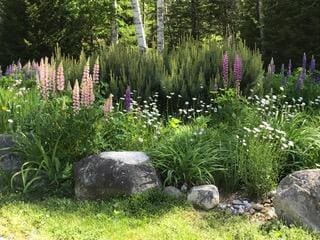 78 Wilson Point Rd, Castine, ME 04421 - photo 4