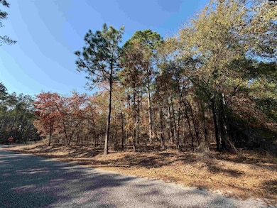 428 Pine Crest St, Camden, SC 29020 - photo 2