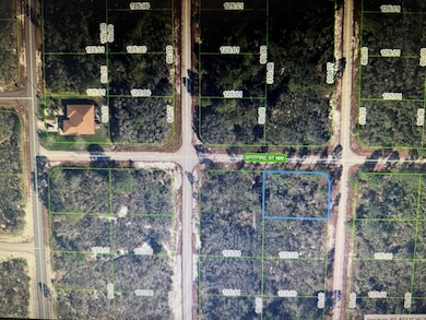 314 Spitfire St NW, Placid Lakes, FL 33852 - photo 2