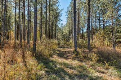0000 Quarter Round Rd unit 7, Pacolet, SC 29372 - photo 5