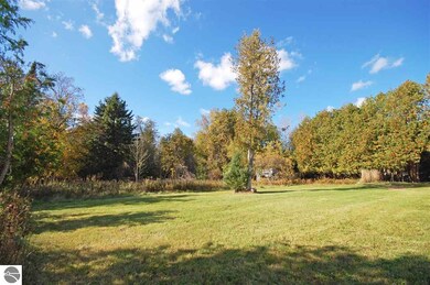 The spacious back yard with many hard wood trees.