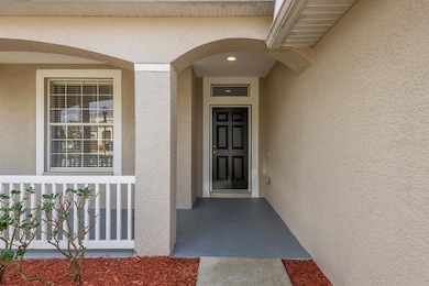 18952 Quarry Badger Rd, Land O Lakes, FL 34638 - photo 2