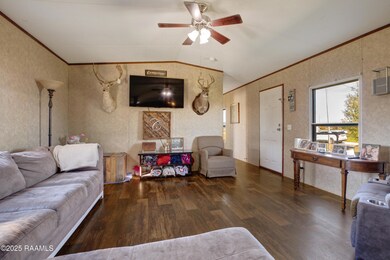 7040 White Oak Hwy, Branch, LA 70516 - photo 6