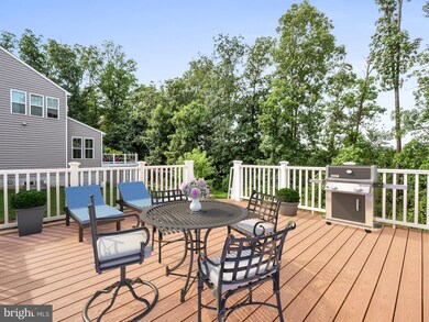 41630 Olivine Place, Aldie, VA 20105 - photo 6