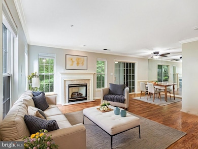 6604 Netties Ln unit 1204, Alexandria, VA 22315 - photo 3