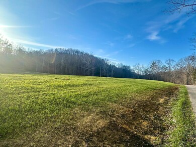 Lot 9 Hensley Rd, East Bernstadt, KY 40729 - photo 7