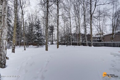 GINORMOUS Back Yard