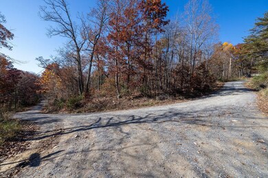 Lt G-51 Deer Track Rd, Luray, VA 22835 - photo 3