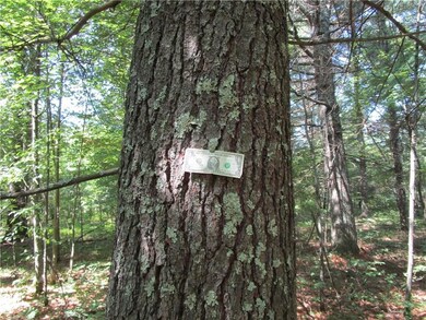 25645 Lhotka Rd, Webster, WI 54893 - photo 6