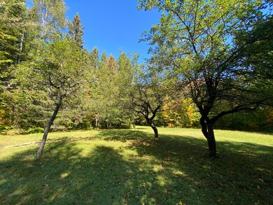 IMG_7267