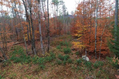 000 Old Portland Rd unit 10, Freedom, NH 03836 - photo 6