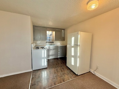 10612 County Road 1020 unit A1, Burleson, TX 76028 - photo 5
