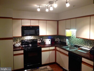 4704 Ridgeline Terrace unit 276, Bowie, MD 20720 - photo 5