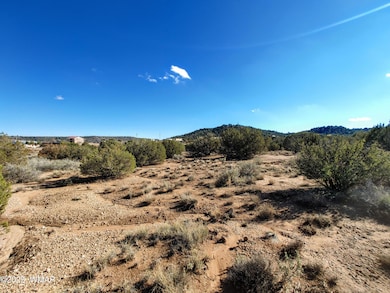 Parcel 3 W Shumway Rd, Taylor, AZ 85901 - photo 4