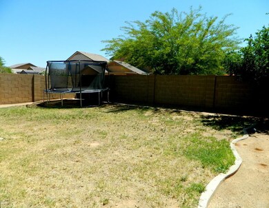 Big Back Yard