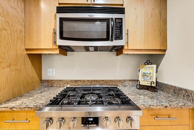 Hammonswood at Chestnut Hill unit E115, Chestnut Hill, MA 02467 - photo 4