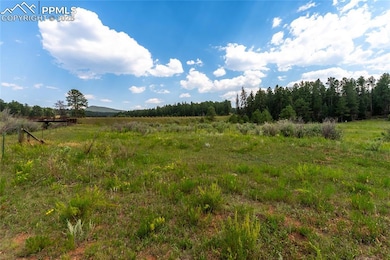 29507 N Highway 67, Woodland Park, CO 80863 - photo 7