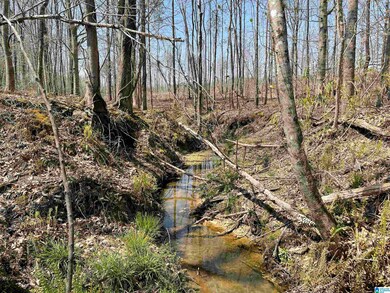 0 County Road 30 unit 4 Acres 1315566, Roanoke, AL 36274 - photo 2