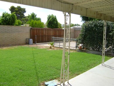 Grassy backyard