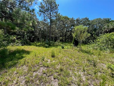 18904 Craig Loop, Hudson, FL 34667 - photo 6