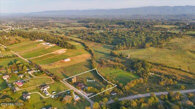 11-DJI_20241013182420_0780_D