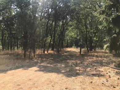 unlisted-address, Hayfork, CA 96041 - photo 5