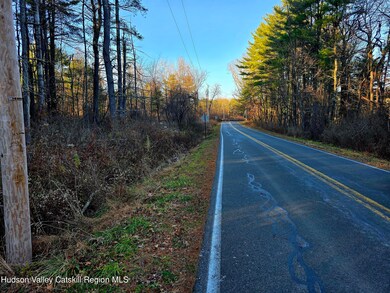 Lot 10 County Road 51, New Baltimore, NY 12124 - photo 6