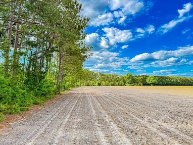 0 Tbd Sandhill Rd unit LotWP002 23456478, Marion, SC 29571 - photo 3