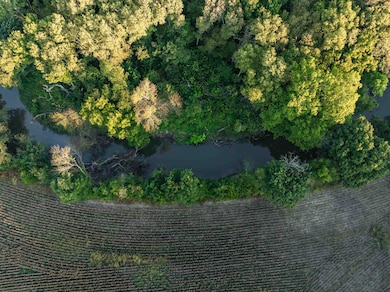 12357 SW Tawakoni Rd, Augusta, KS 67010 - photo 7