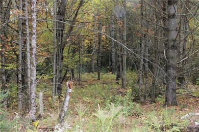 906 Hudson Hill Rd, Hudson, ME 04449 - photo 5