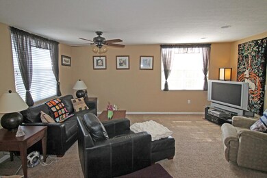 Ceiling fan/light, plush carpet