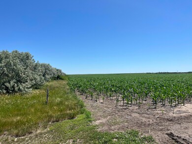 IMG_1393