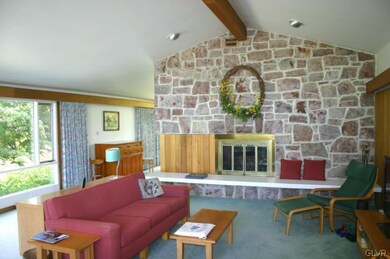 Living room fireplace