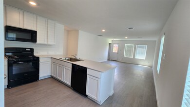 3013 Burmese St, Providence Village, TX 76227 - photo 6