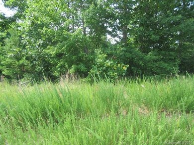 Lot  47 Hickory Loop, Rutherfordton, NC 28139 - photo 3