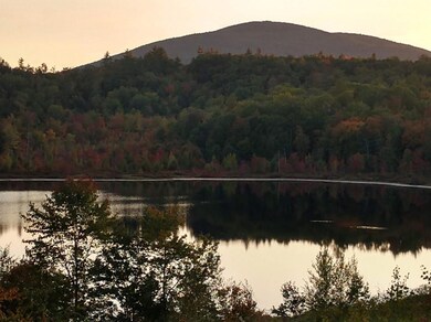 51 Heyburn Dr, Porter, ME 04068 - photo 6