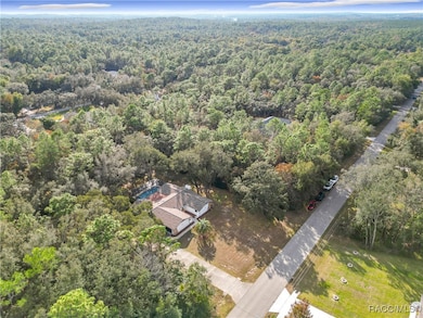 1276 W Pearson St, Hernando, FL 34442 - photo 4