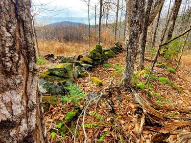 1715 Kittridge Pasture Rd, Reading, VT 05062 - photo 5