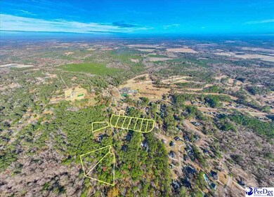 14 Tee Cir, Darlington, SC 29532 - photo 5