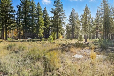 11111 Henness Rd, Truckee, CA 96161 - photo 6