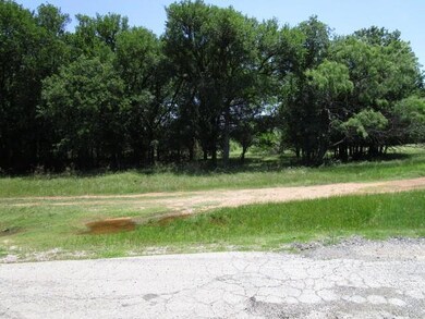 13081 Crestwood Dr, Whitney, TX 76692 - photo 3