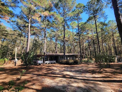 1159 Pineview Hwy, Pineview, GA 31071 - photo 2