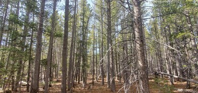 Lot 3246 Zipf Ln unit 3246, Fort Garland, CO 81133 - photo 6