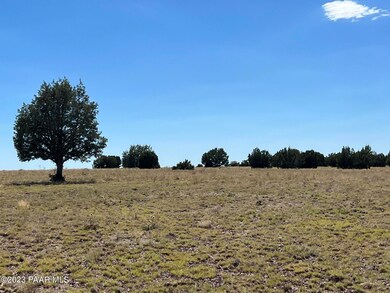 116 Old Route 66, Ash Fork, AZ 86320 - photo 4